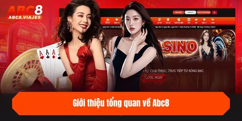 Giới thiệu tổng quan về ABC8